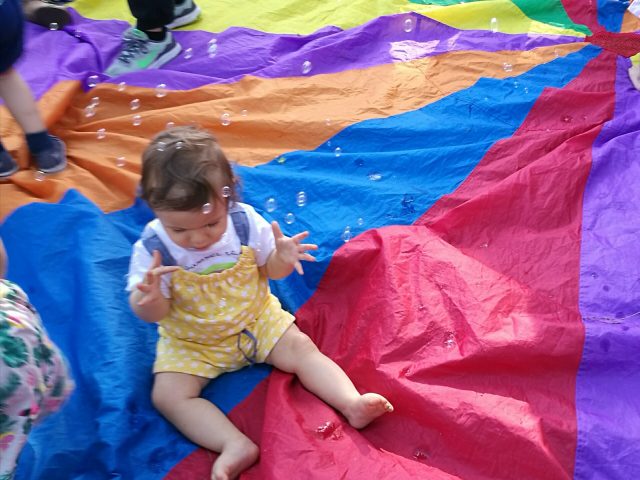 festa gymboree